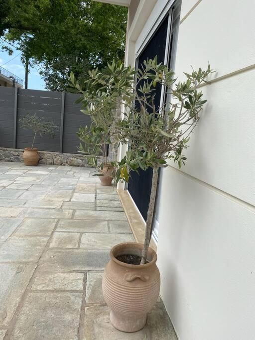 Villa Oleander Agios Nikolaos Loutra Edipsou Экстерьер фото