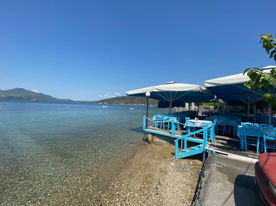 Villa Oleander Agios Nikolaos Loutra Edipsou Экстерьер фото